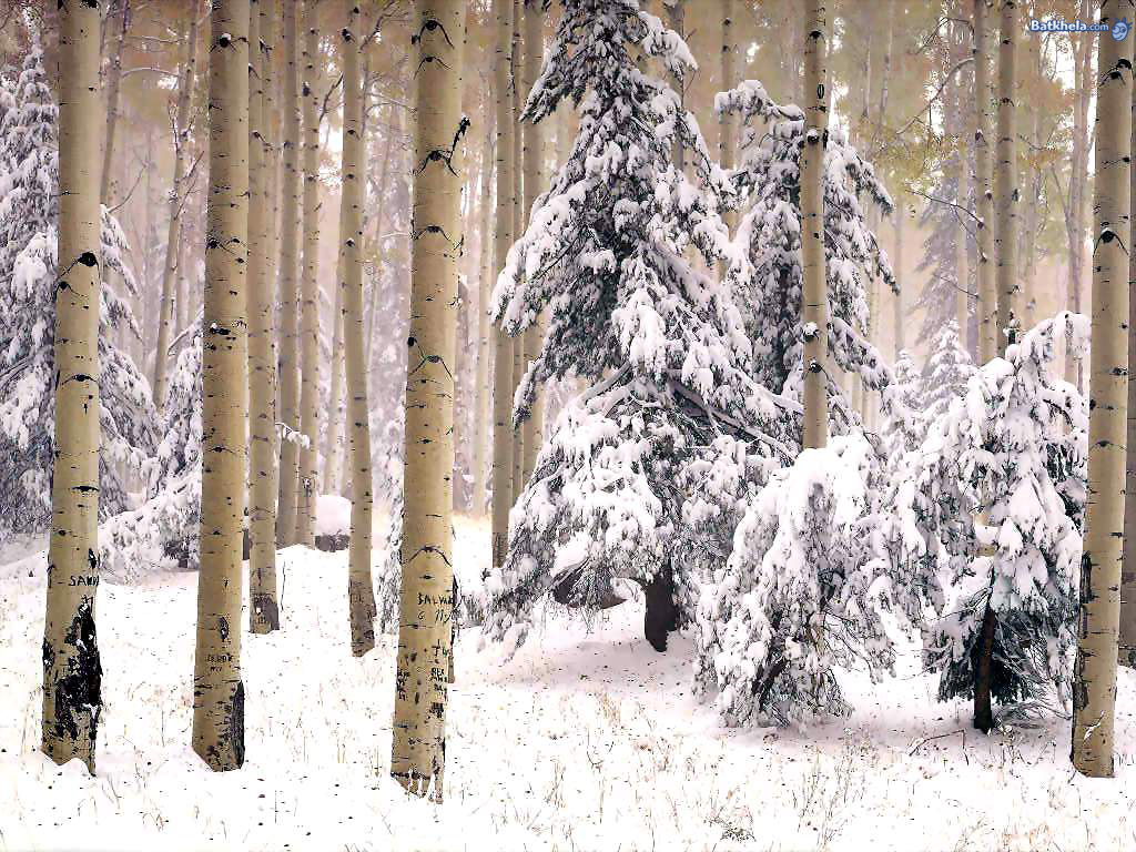 winter_006