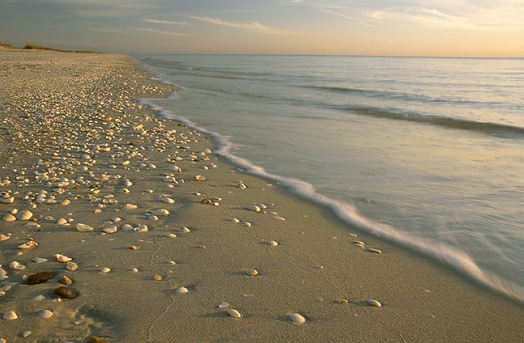 beach-water-sand-waves