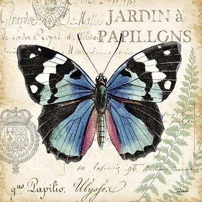 RB6823TS_Butterfly_Histoire_Naturelle_II_12x12