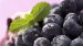 blueberries_close_up-1366x768.jpg